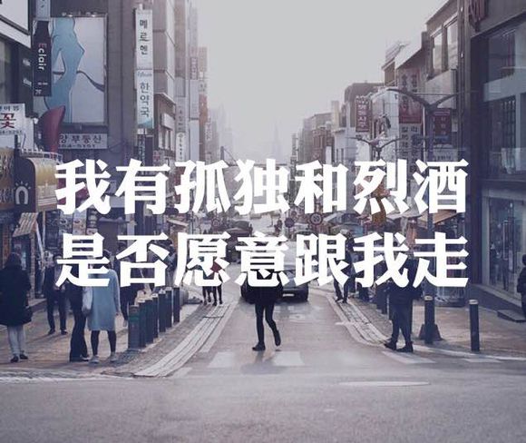 我有孤独和烈酒，是否愿意跟我走的图片(3)(点击浏览下一张趣图)