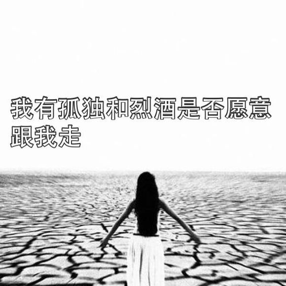 我有孤独和烈酒，是否愿意跟我走的图片(4)(点击浏览下一张趣图)