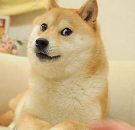 doge顺毛图：可爱男顺毛图(点击浏览下一张趣图)