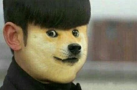 doge顺毛图：可爱男顺毛图(2)(点击浏览下一张趣图)