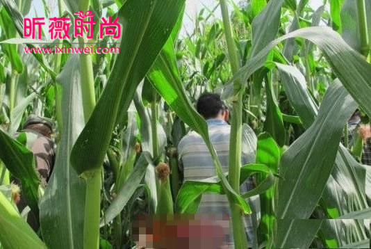 农村树林夜晚图片大全：美丽寡妇在树林里(4)(点击浏览下一张趣图)