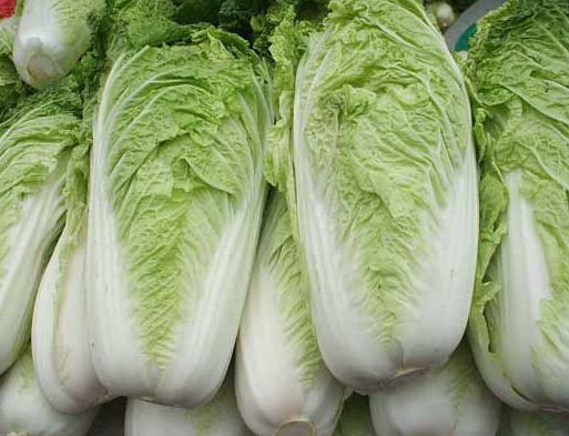 揭秘:14种可能引起死亡的常见食物(3)(点击浏览下一张趣图)