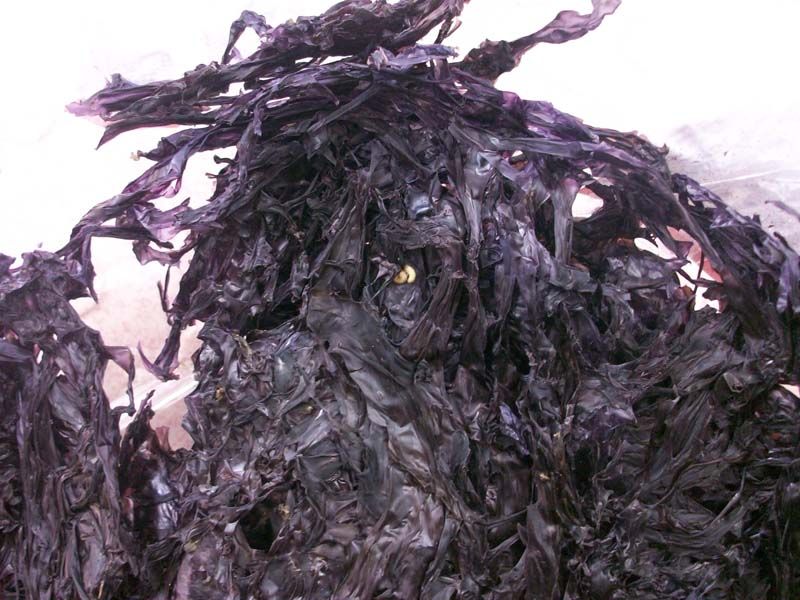 警惕：10种家常食物含剧毒易致病(11)(点击浏览下一张趣图)