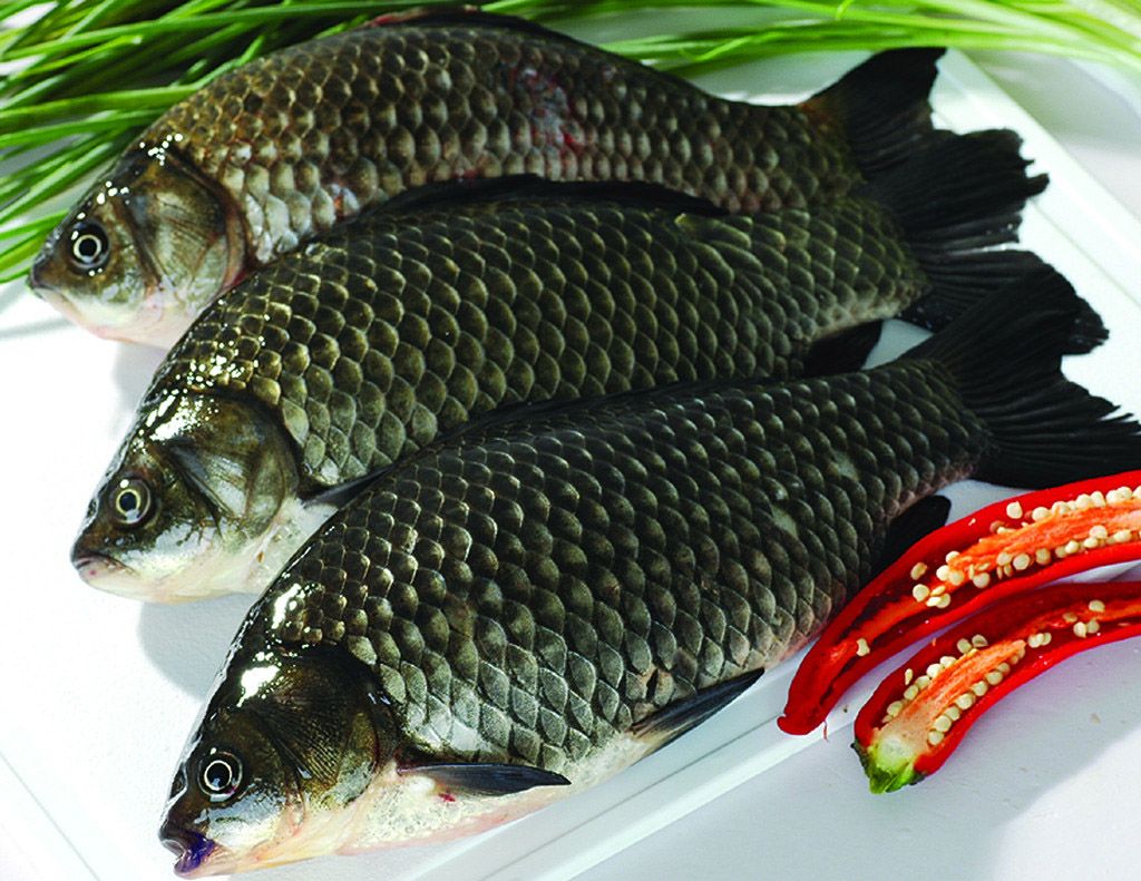 这10种食物 最补脑   越吃越聪明(点击浏览下一张趣图)