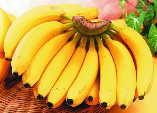 这10种食物 最补脑   越吃越聪明(5)(点击浏览下一张趣图)