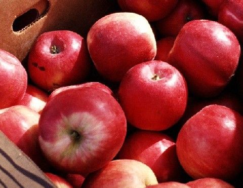 最常见的10个美食杀手，你知道吗？(7)(点击浏览下一张趣图)
