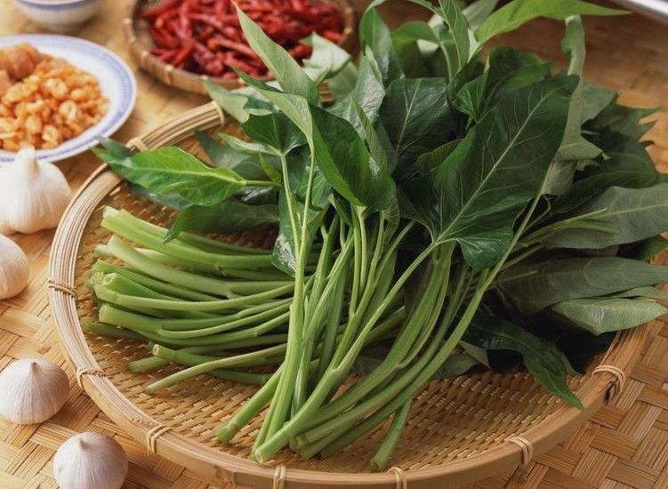 远离脂肪肝 12种蔬菜最能养肝护肝(4)(点击浏览下一张趣图)