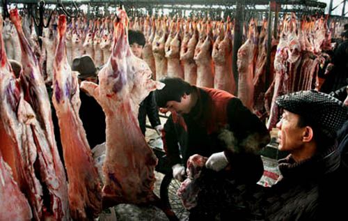 冬季吃羊肉五禁忌 茶水是羊肉克星(10)(点击浏览下一张趣图)