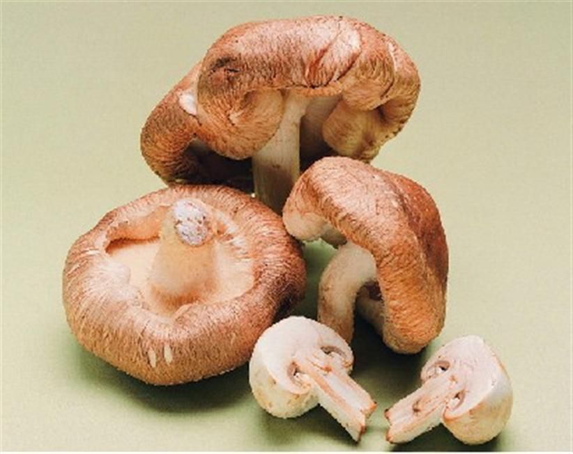 节后清肠排毒大行动(3)(点击浏览下一张趣图)