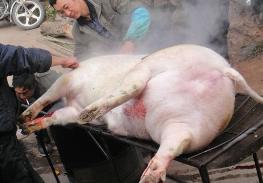 爱吃肉小心吃到尸毒(3)(点击浏览下一张趣图)