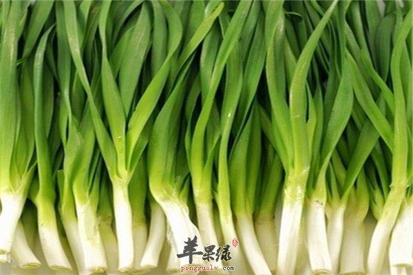 韭菜和什么不能一起吃(4)(点击浏览下一张趣图)