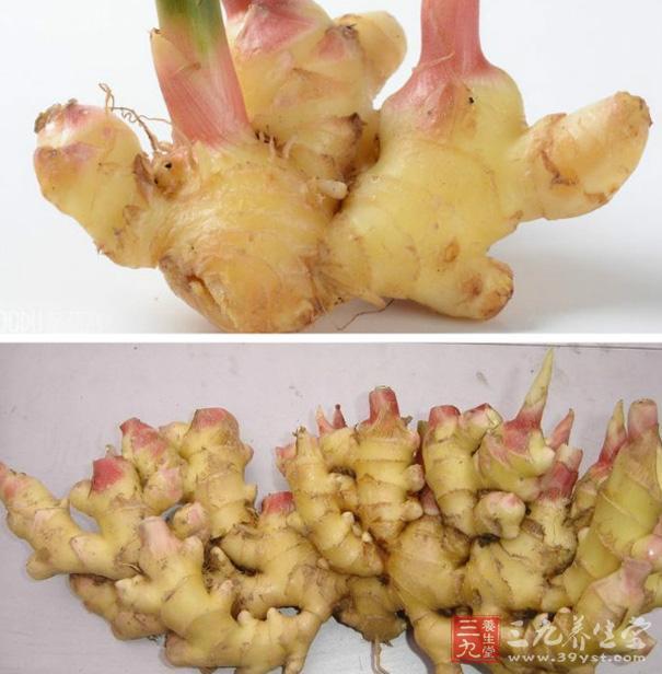 烂姜能吃吗 夏天吃姜的禁忌(点击浏览下一张趣图)