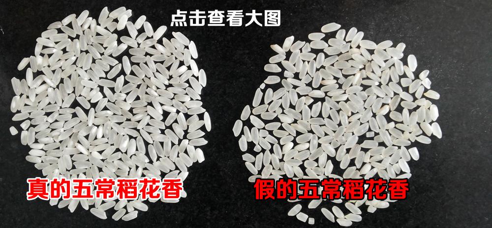 五常大米掺假 如何辨别真假五常米(5)(点击浏览下一张趣图)
