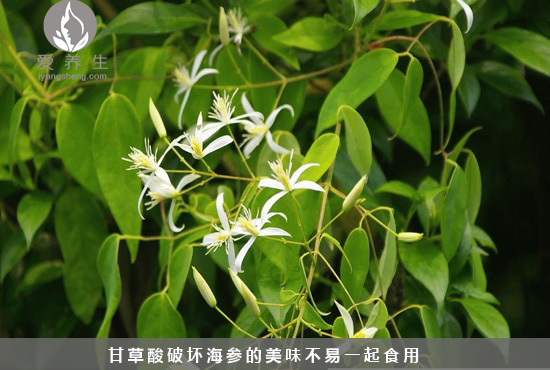6种食物不能和海参一起吃？(点击浏览下一张趣图)