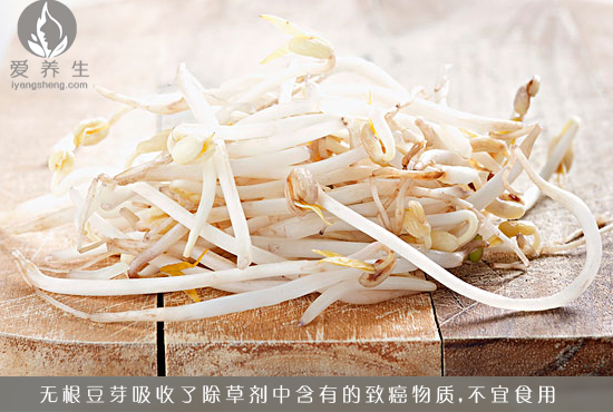 注意：绝对不能吃的11种有毒蔬菜(2)(点击浏览下一张趣图)
