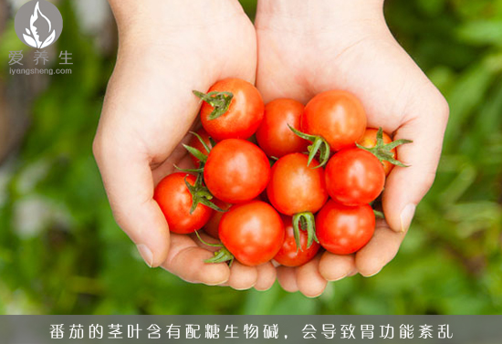 7种家常食物吃错部位 会要你的命(2)(点击浏览下一张趣图)