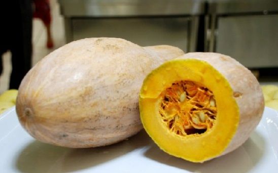 养生禁忌 七种蔬菜有毒损伤肝功能(3)(点击浏览下一张趣图)