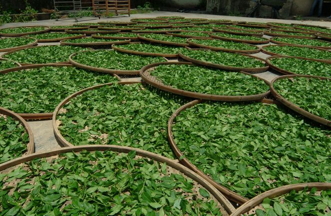 食物中毒！15种加料美食如砒霜(点击浏览下一张趣图)