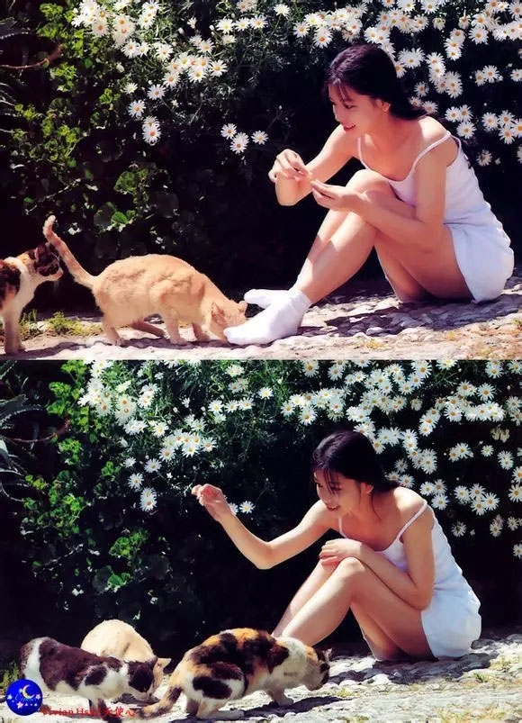 徐若瑄天使心 tumblr：徐若瑄天使心rar 徐若瑄天使心磁力搜索(点击浏览下一张趣图)