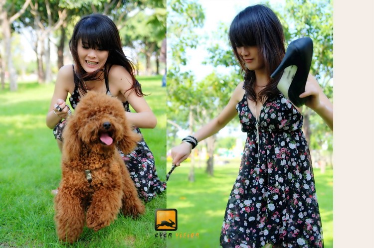 狗的吊图片：狗吊图片搞笑大全图片(3)(点击浏览下一张趣图)