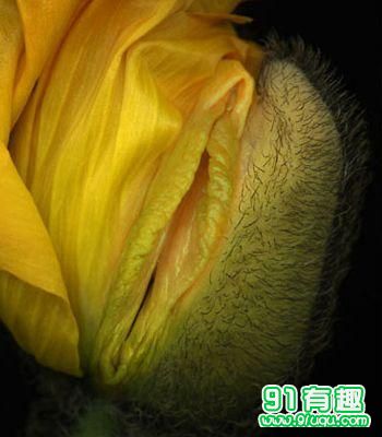 二十名器详文图解k茂：女人十大神器图 形状(点击浏览下一张趣图)