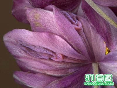 二十名器详文图解k茂：女人十大神器图 形状(2)(点击浏览下一张趣图)