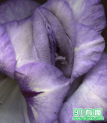 名器证明003照片：女人20名器讲解 十八种名器真人图(4)(点击浏览下一张趣图)