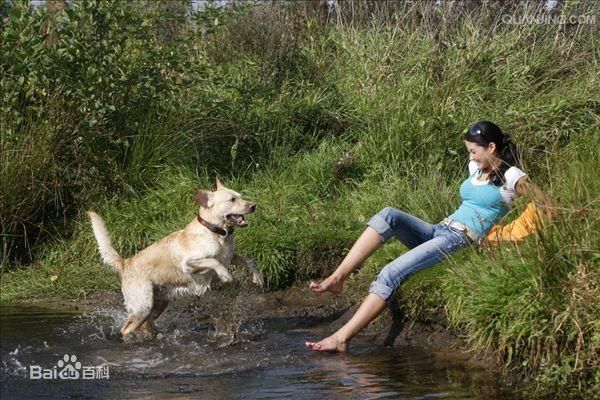 狗鞭入女人体内口输：狗鞭卡女人屁股图片(点击浏览下一张趣图)