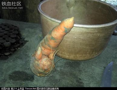 男生早上和女生说晨勃 男人晨勃与软下去的图(点击浏览下一张趣图)