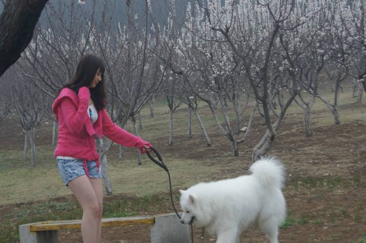 端木云裸阴艺术写真：大阴进茎女人用的图片(2)(点击浏览下一张趣图)