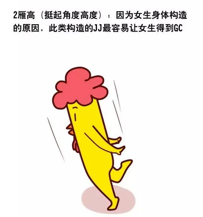 男生的丁丁完美形状，女性喜欢什么形态丁丁(2)(点击浏览下一张趣图)