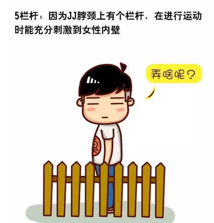 男生的丁丁完美形状，女性喜欢什么形态丁丁(5)(点击浏览下一张趣图)