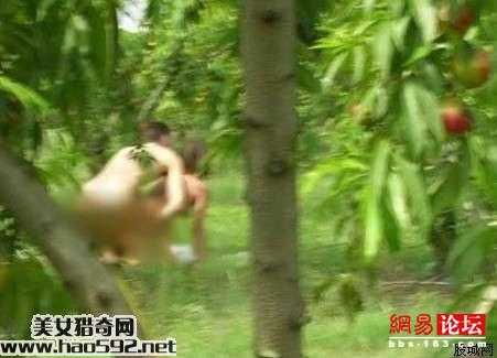农村妇女偷人的故事 和妇女打野战：农村妇女夜晚的事情(点击浏览下一张趣图)