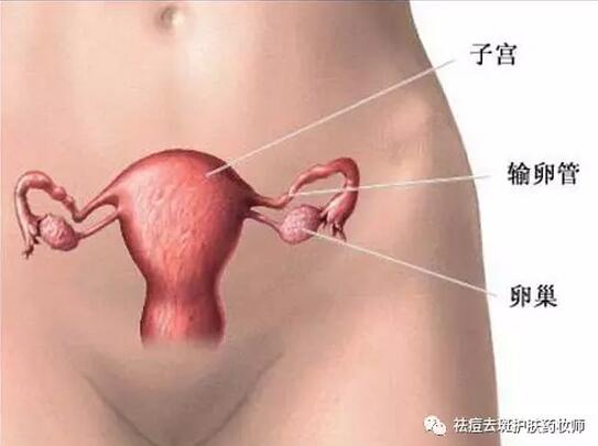 怎么保养子宫最好方法:怎样保养子宫卵巢最好(点击浏览下一张趣图) 怎么保养子宫最好方法:怎样保养子宫卵巢最好(点击浏览下一张趣图)