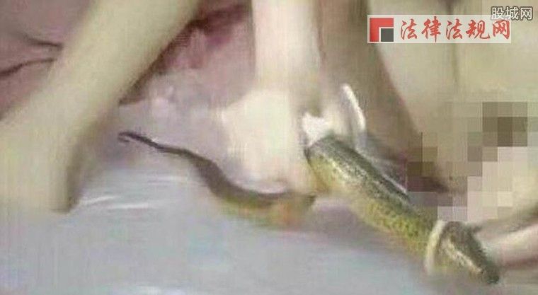 谁有黄鳝门资源完整版：黄鳝21分钟种子 黄鳝女主播自慰视频,(点击浏览下一张趣图)