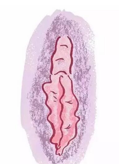 女性下面到底是什么样子的，女性的私处无遮掩图片(3)(点击浏览下一张趣图)