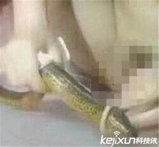 女孩在尿道里塞黄鳝：往女生尿道里塞冰 女生塞黄鳝故事(点击浏览下一张趣图)