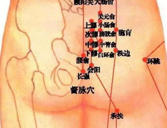 女人臀部介绍怎么做臀部保养,做臀部保养有什么好处(2)(点击浏览下一张趣图) 女人臀部介绍怎么做臀部保养,做臀部保养有什么好处(2)(点击浏览下一张趣图)