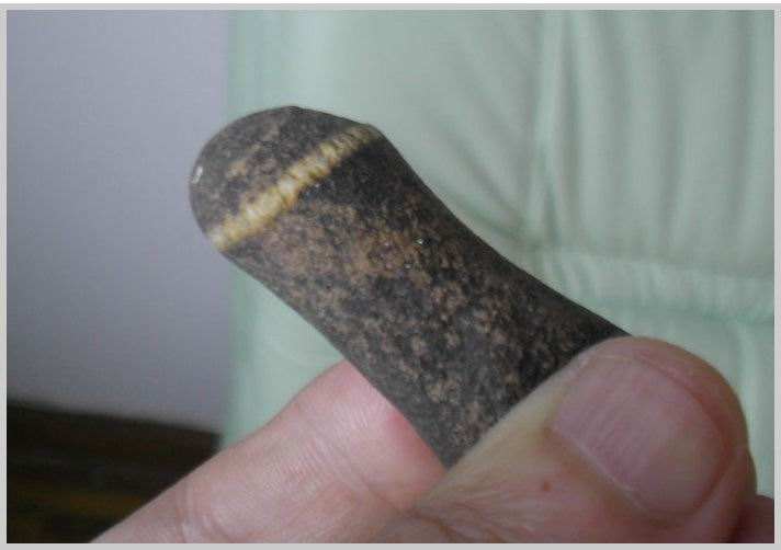 外国人的阴茎和图片|：世界上最大的阴茎,图片(3)(点击浏览下一张趣图)