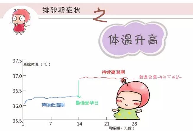 那些原因导致女孩不孕？大约有30%的不育女性的病因在于不排卵(点击浏览下一张趣图)