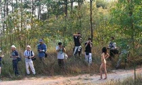 人体模特林雨纯：相约中国人体模特2017(2)(点击浏览下一张趣图)