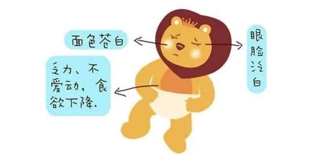 6个月以上的孩子,缺铁性贫血!(点击浏览下一张趣图) 6个月以上的孩子,缺铁性贫血!(点击浏览下一张趣图)