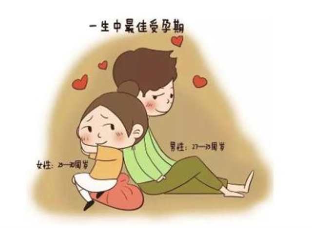 受孕的三个最佳时间点(2)(点击浏览下一张趣图)