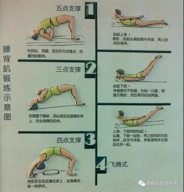 21天增大3厘米锻炼方法(点击浏览下一张趣图)