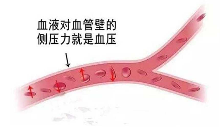 人的正常血压是多少 成年人的正常血压(点击浏览下一张趣图)