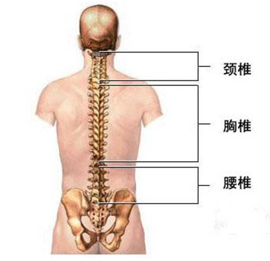 女性腰间盘突出的症状