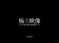 图解日本限级动作片：苍老师恋之欲室图解