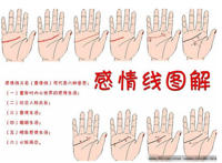 手相图解大全： 感情线分叉图解