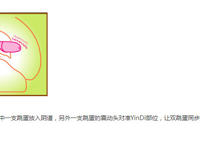 双跳蛋的正确使用方法图解：跳蛋有多厉害