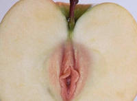 女人私长处啥样图片：女人下边长啥样图解